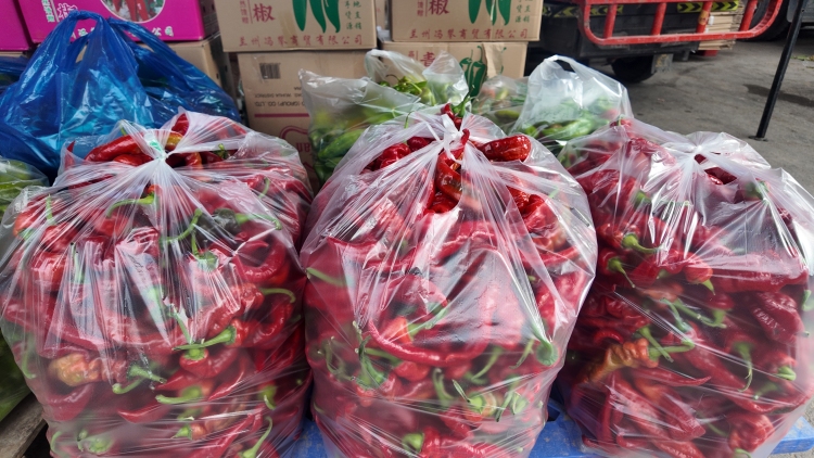 兰州榆中高原夏菜：“甘味”引领全链升级 书写西北振兴答卷_fororder_e