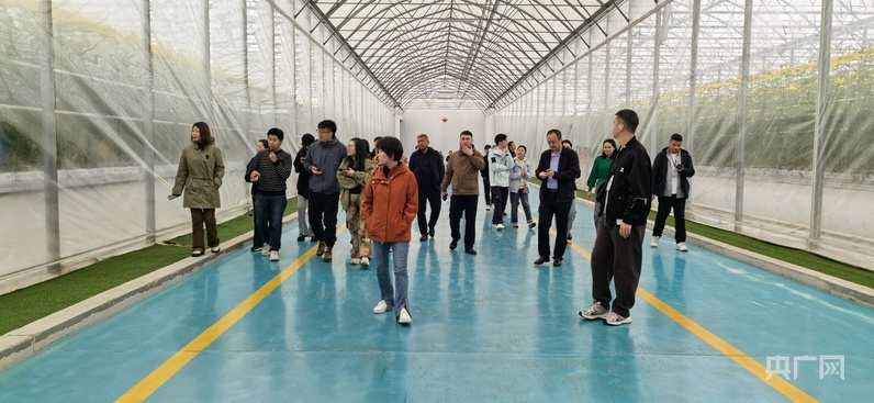 万人说新疆丨五湖四海聚新疆 看蓬勃发展“新”魅力