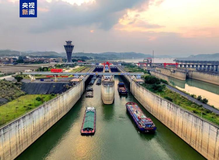突破5亿吨 2025年西江船闸联合调度年过货量创新高