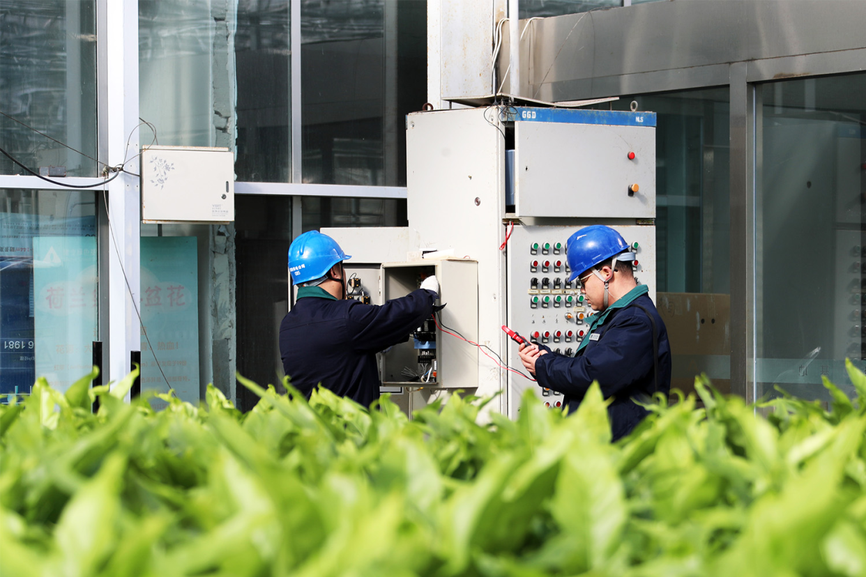 Xuchang, Henan: Reliable Power Supply Safeguards Growth of Rural Prosperity Industry Chains_fororder_图片1