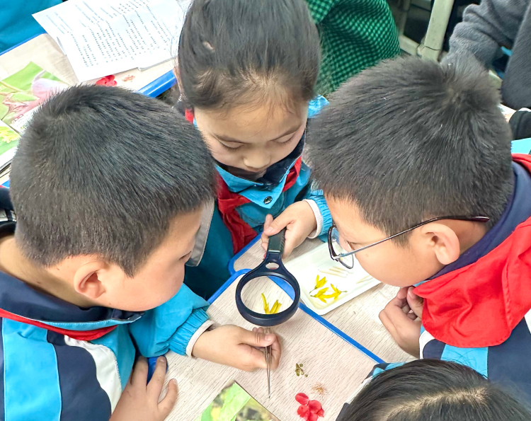 天水市秦安县第五小学“三维推进”模式提升学生科学素养_fororder_开足开好科学课 (1)