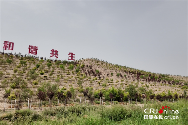 环着沙漠看新疆丨绿水青山带笑颜：从阿克苏到喀什的荒漠化防治实践_fororder_图片9