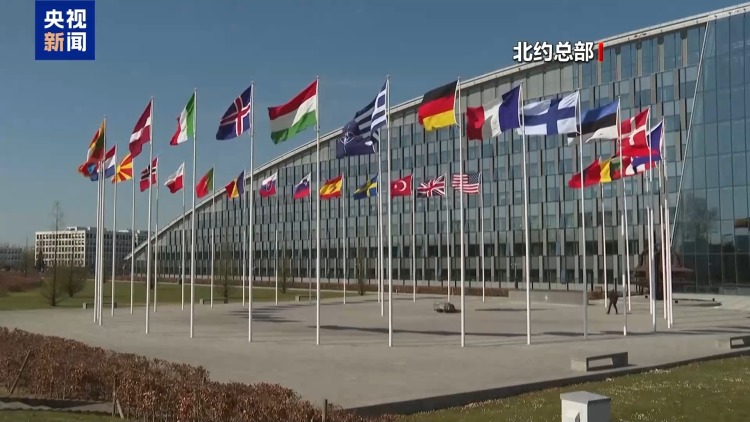 一边被拒一边被坑 中东战事撕裂美国盟友圈