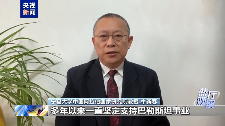 蓝厅观察丨中方锚定“两国方案”推动巴勒斯坦问题政治解决