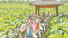 银川鸣翠湖国家湿地公园第十届荷花节拉开帷幕