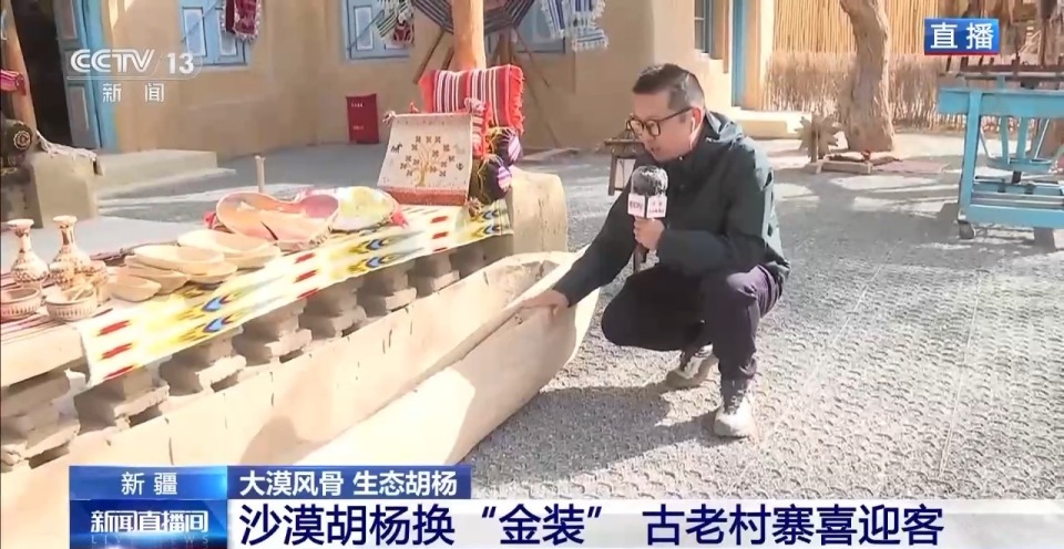 你在胡杨林下载歌载舞 他们在守护这些“沙漠英雄树”