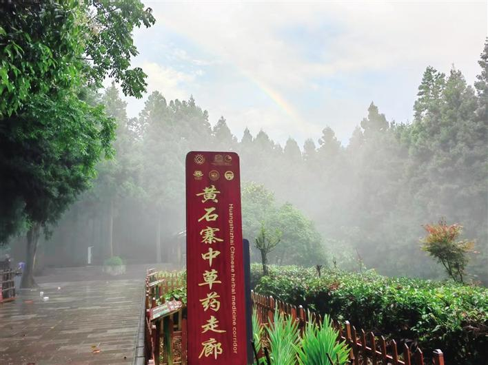 张家界：夏日云海 壮丽浪漫_fororder_微信图片_20250805091254