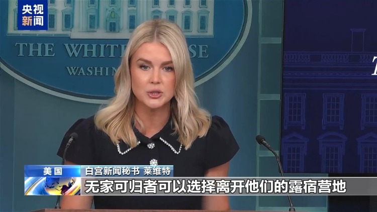 国民警卫队正式执行任务 华盛顿成美党争修罗场 流浪汉沦为棋子