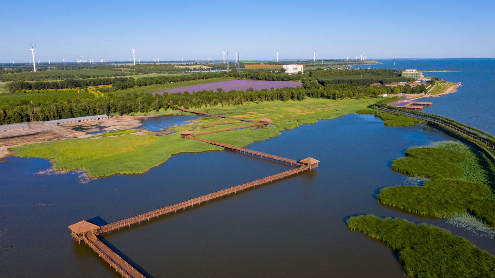 镜观·回响丨生态美，旅游兴——查干湖的绿色交响