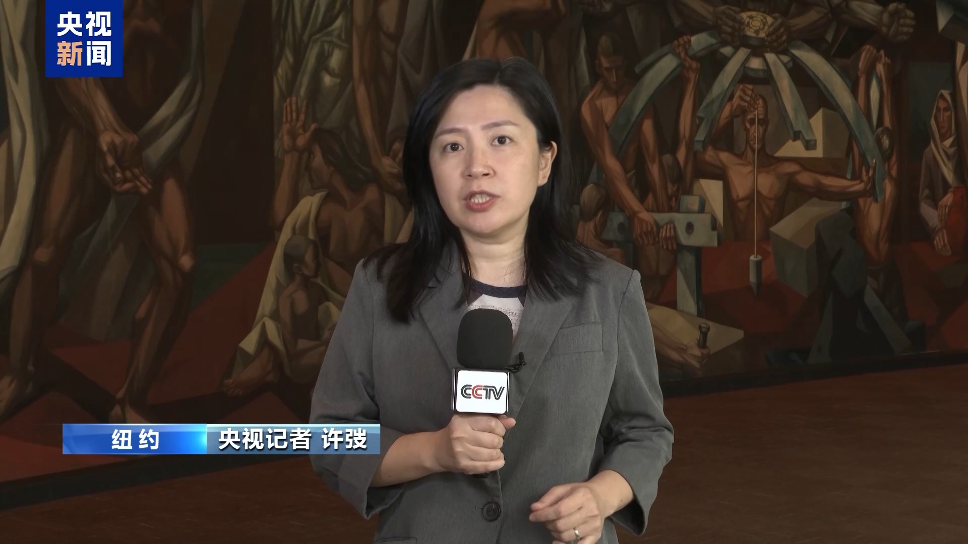多国代表团在以总理讲话时离席退场