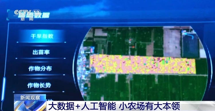 你听说过“伏羲农场”吗？这种小农场里可藏着大智慧