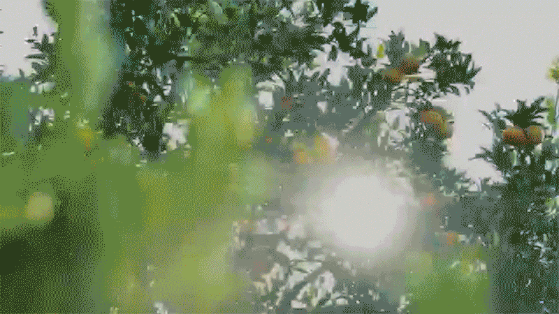 年味儿，就是这个味儿！