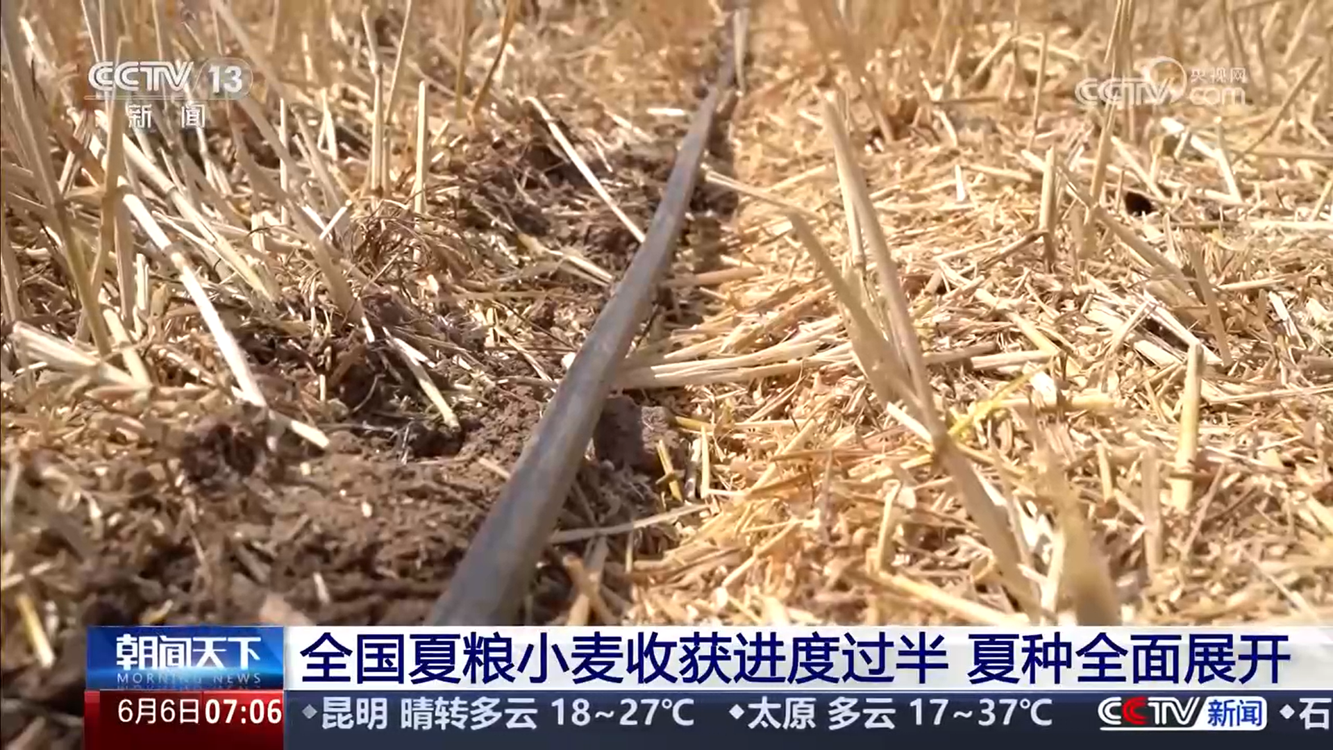 共享晒粮点、快速烘干 、24小时为农服务 各地推出暖心举措服务夏收