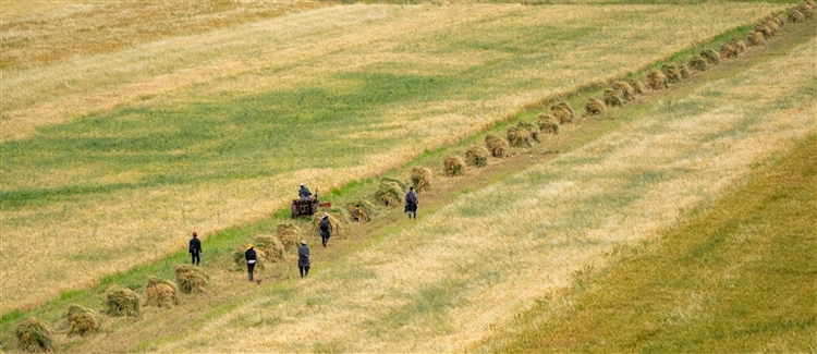 林周县秋色宜人 秋景如画