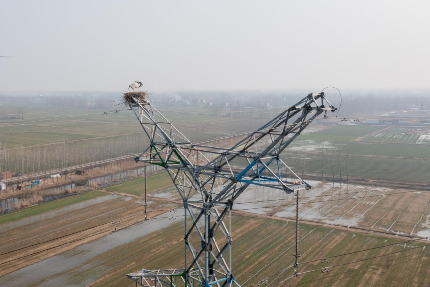 State Grid Huai'an: Powering Progress in Harmony with Nature_fororder_1