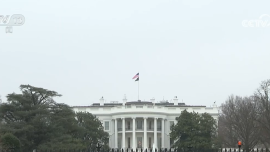 美总统称“须亲自参与”选定伊朗新领导人 伊朗外长：这是伊朗人民的事_fororder_06