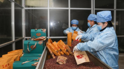 天水秦安：10万余斤花椒发车成都