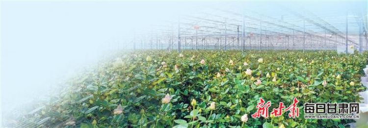 【在继往开来中奋勇争先 决胜“十四五” 迈向“十五五”】民营经济活力涌动_fororder_图4