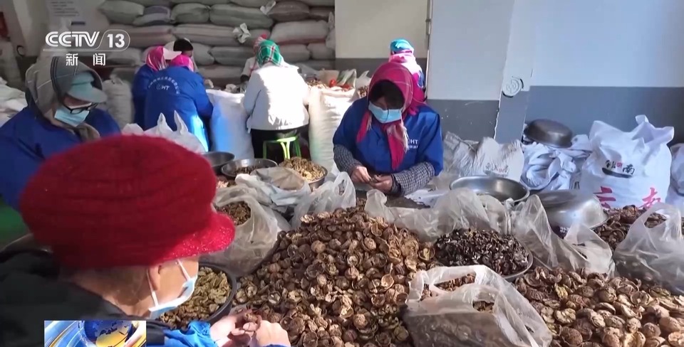 “楼上住，楼下上班！”这里的脱贫户可以家门口就业→