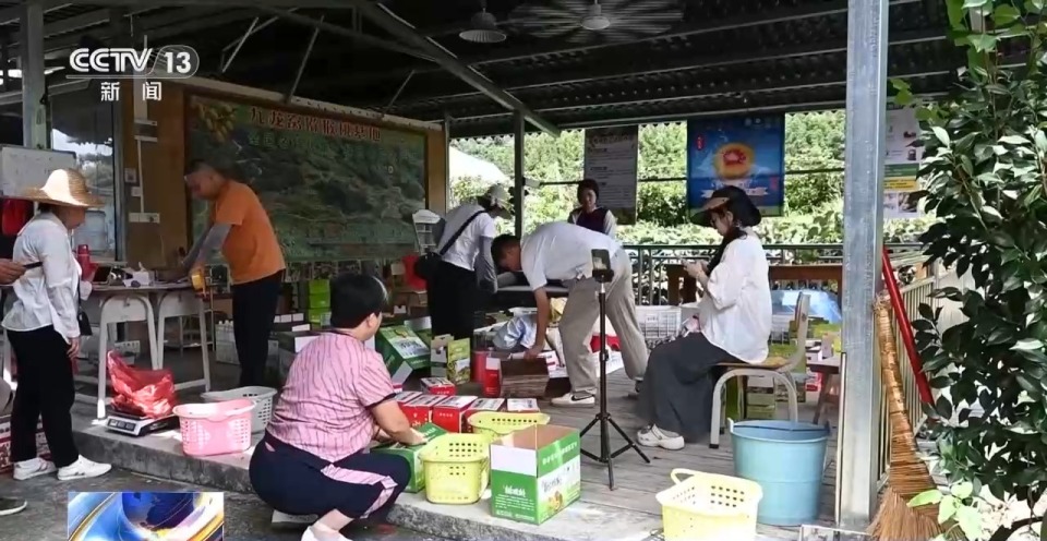 走向智能化绿色化国际化！今年以来我国快递市场规模持续增长