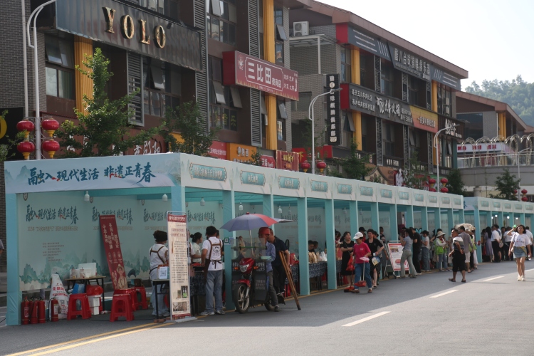 湖南邵阳35个非遗项目同台竞秀_fororder_2