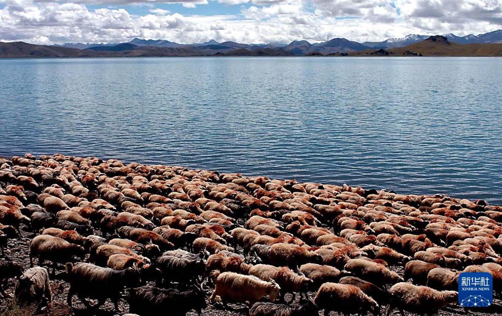 我在现场·光影流年｜土登：从农奴之子到雪域记者