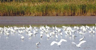 图片默认标题_fororder_p2_b (1)