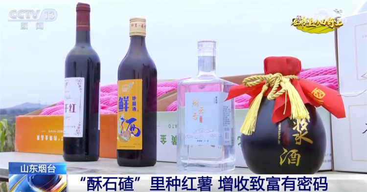 广袤乡村绘就金秋九月好“丰”景 农业现代化成为百姓增收致富“密码”
