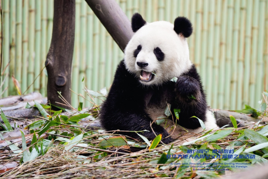 Zhouzhi: Create a 'World Living Room' Through Ecology and Culture_fororder_图片 1