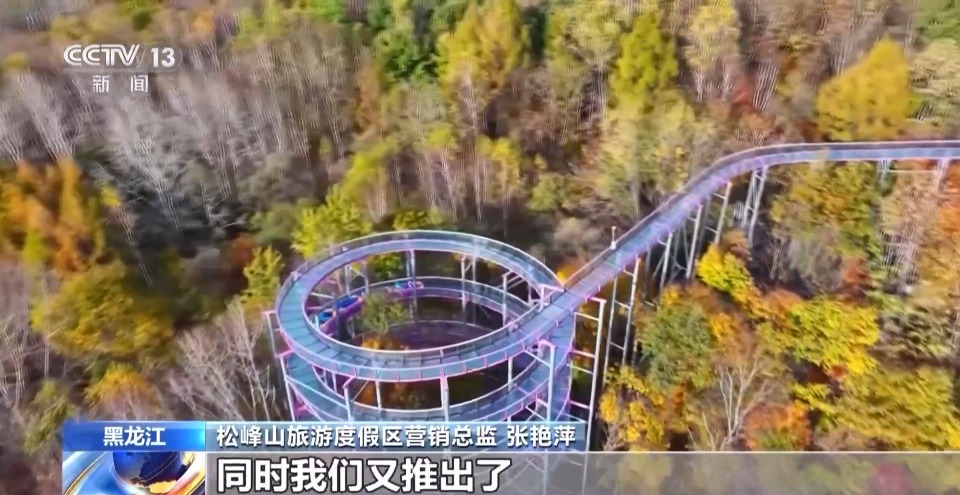 树叶DIY、制作漆扇、打卡商圈……这些活动好玩又出片