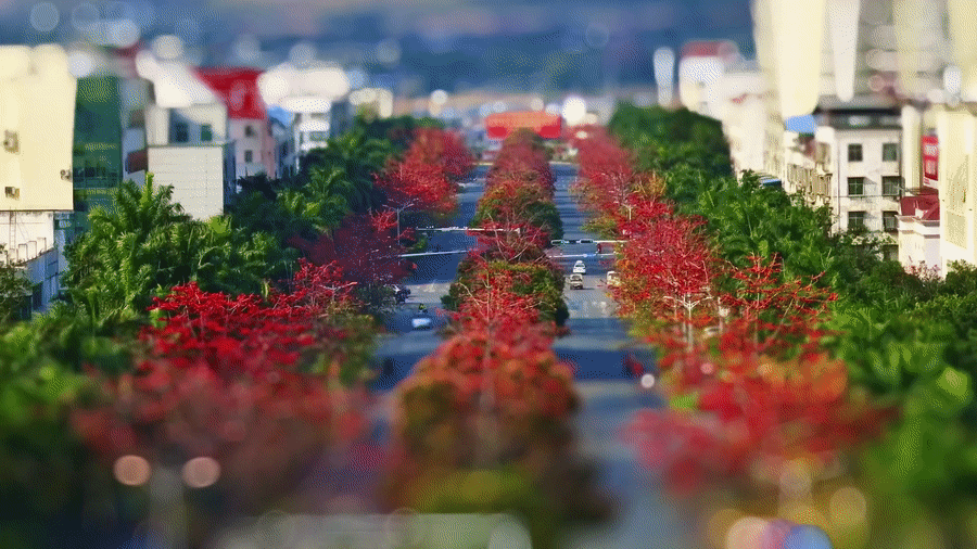 移轴带你看春天｜赏春花、趣春游，在山间田野赴一场春日之约！