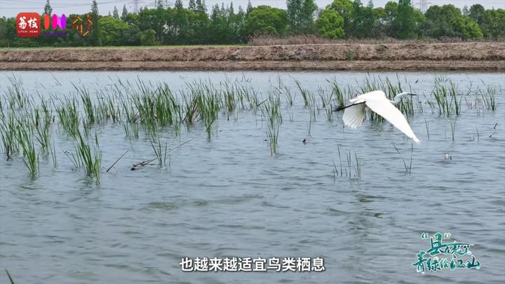 “县”在起笔 青绿绘江山 | 翠微满乾“昆”，繁华都市与生态绿意温柔相拥