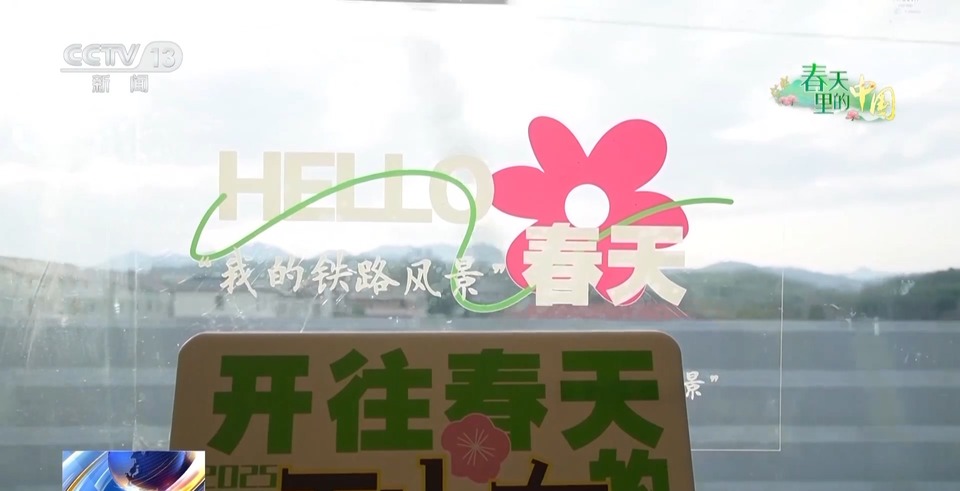 春日限定花海上线 赶紧来这些宝藏地打卡吧