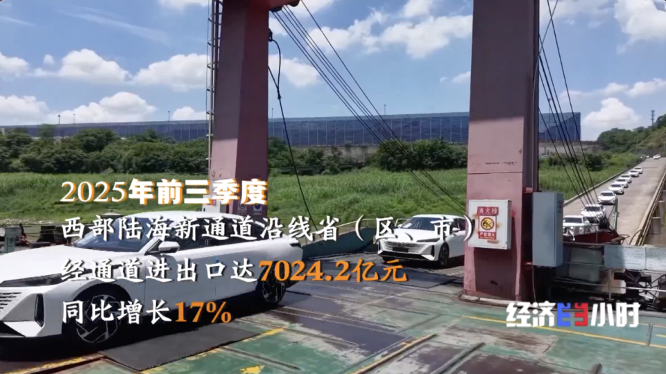 视频丨中国物流如何“规模涨、成本降”？