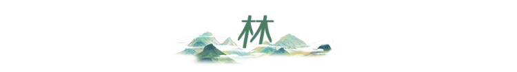 活力中国调研行丨从“浙”里，看中国