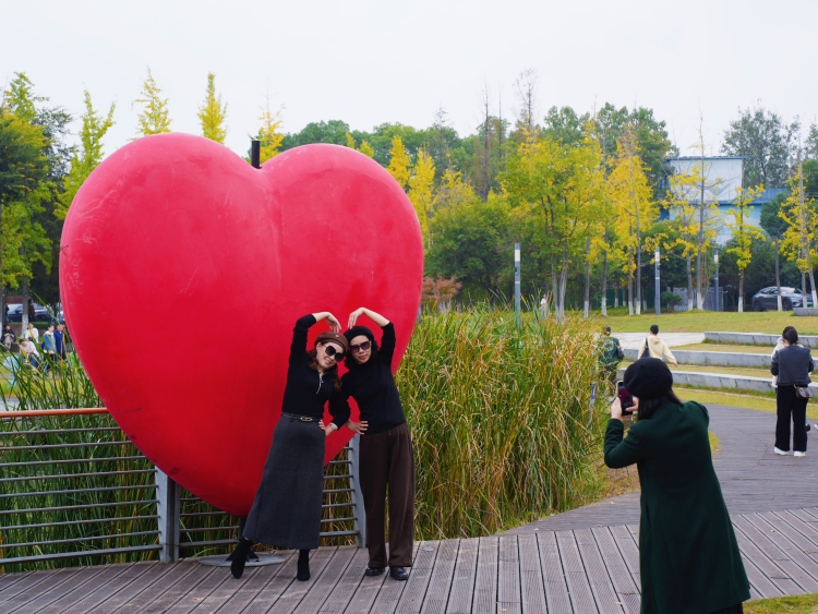 图片默认标题_fororder_3