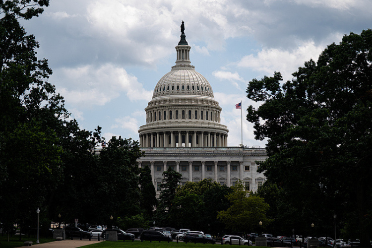 特朗普：支持推进“限制总统战争权”的共和党议员不应连任