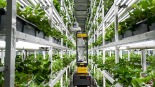 我国农业农村现代化迈出坚实步伐_fororder_1761132257727_56