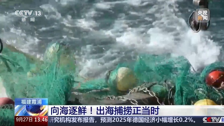 海边村镇变网红打卡点 “渔旅融合”让滨海小城出圈