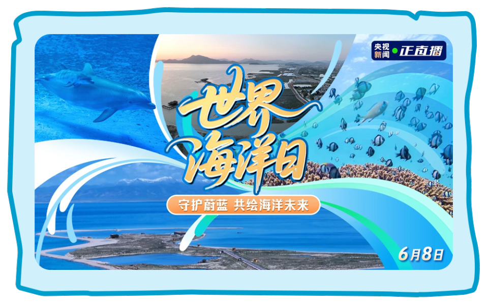 总台周末看点 | “荔”争上游！