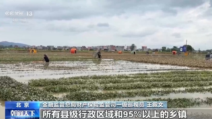视频丨上半年我国农业保险已赔付460亿元