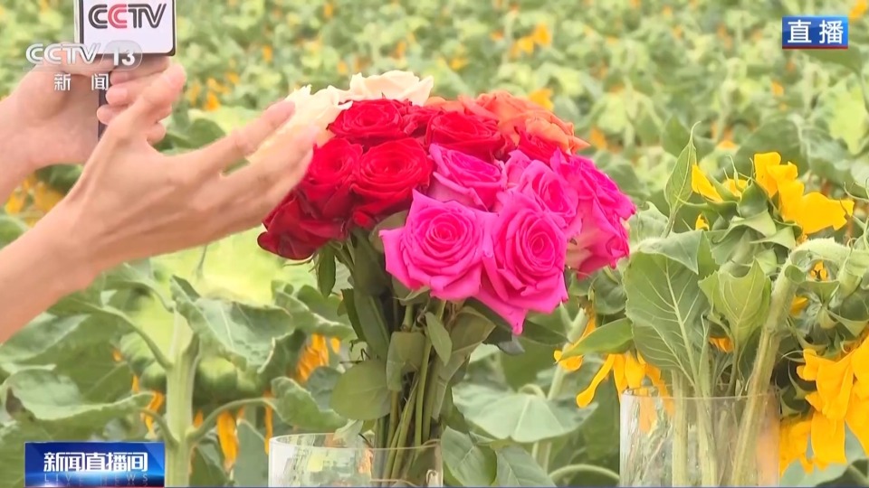 “荒芜之地”→“生态乐园” 这是兰州新城的蜕变密码