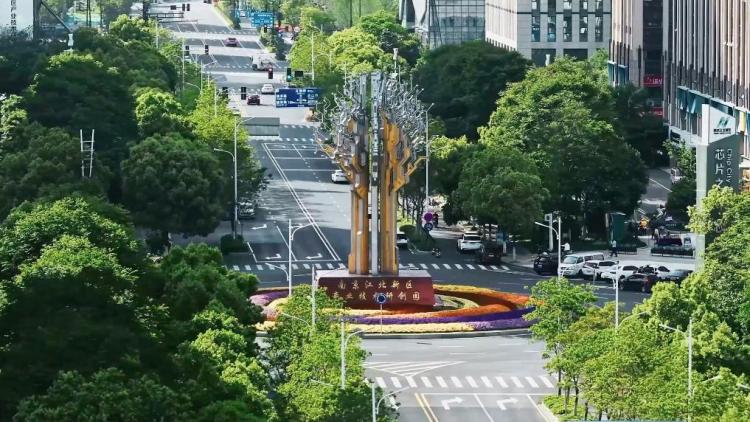 新华视点｜遇见东方 “洋朋友”眼中的中国