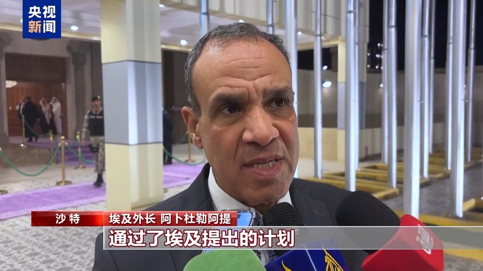 伊合组织外长会支持埃及版加沙重建计划 抗衡美国“接管”企图