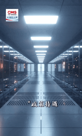 勇立潮头大湾区丨揽才聚势！广东持续“圈粉”港澳青年