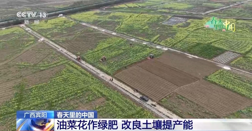 当现代农机遇上传统农业 “土豆”秒变“金豆”