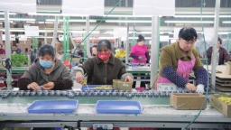 湖南洞口车间建在家门口 务工不用往外走