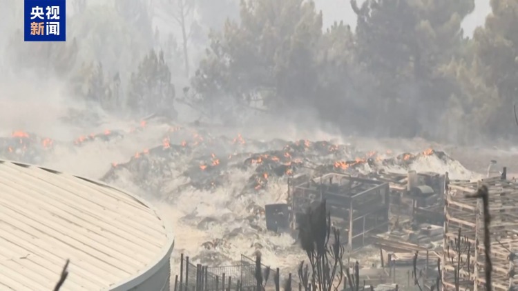 西班牙增派500名应急部队人员应对山火