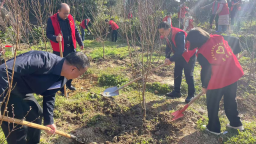 湖南城步苗族自治县开展2026年全民义务植树活动