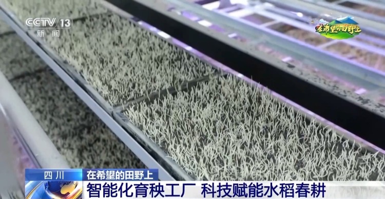 智能化育秧、无人机施肥、机器播种 “智慧春耕”正在进行中